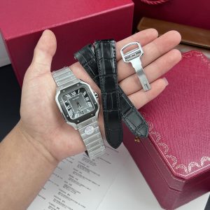 Cartier Santos Best Replica Watch WSSA0037 Gray Dial BV Factory (5)
