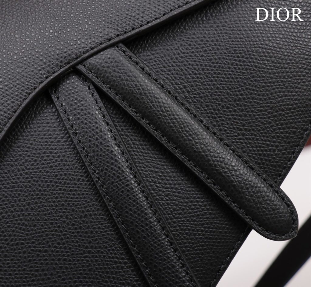 Dior Saddle With Strap Replica Handbags Gold Lock 25cm (2)