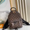 Louis Vuitton LV Palm Springs Medium Monogram Replica Backpack 29cm