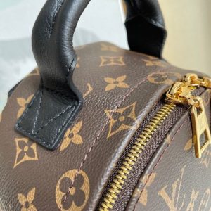 Louis Vuitton LV Palm Springs Medium Monogram Replica Backpack 29cm