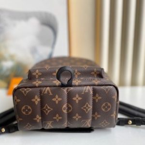 Louis Vuitton LV Palm Springs Medium Monogram Replica Backpack 29cm