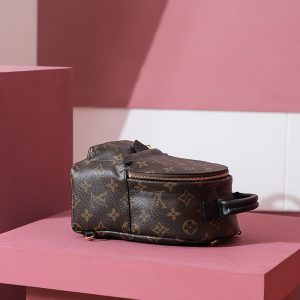 Louis Vuitton LV Palm Springs Mini Monogram Replica Backpack 17cm