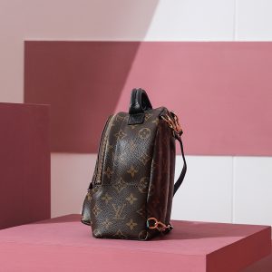 Louis Vuitton LV Palm Springs Mini Monogram Replica Backpack 17cm