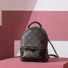 Louis Vuitton LV Palm Springs Mini Monogram Replica Backpack 17cm