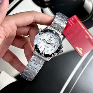 Omega Replica 1:1 Watch Seamaster VS Factory Best Quality 42mm (9)