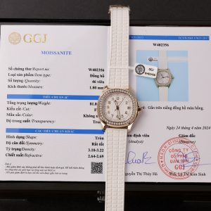 Patek Philippe Aquanaut 5067 Womens Custom Moissanite Diamonds Replica Watch 35 (2)