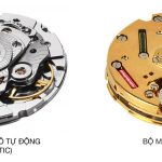 Basic Knowledge About Wristwatches (2)