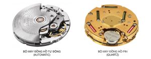 Basic Knowledge About Wristwatches (2)